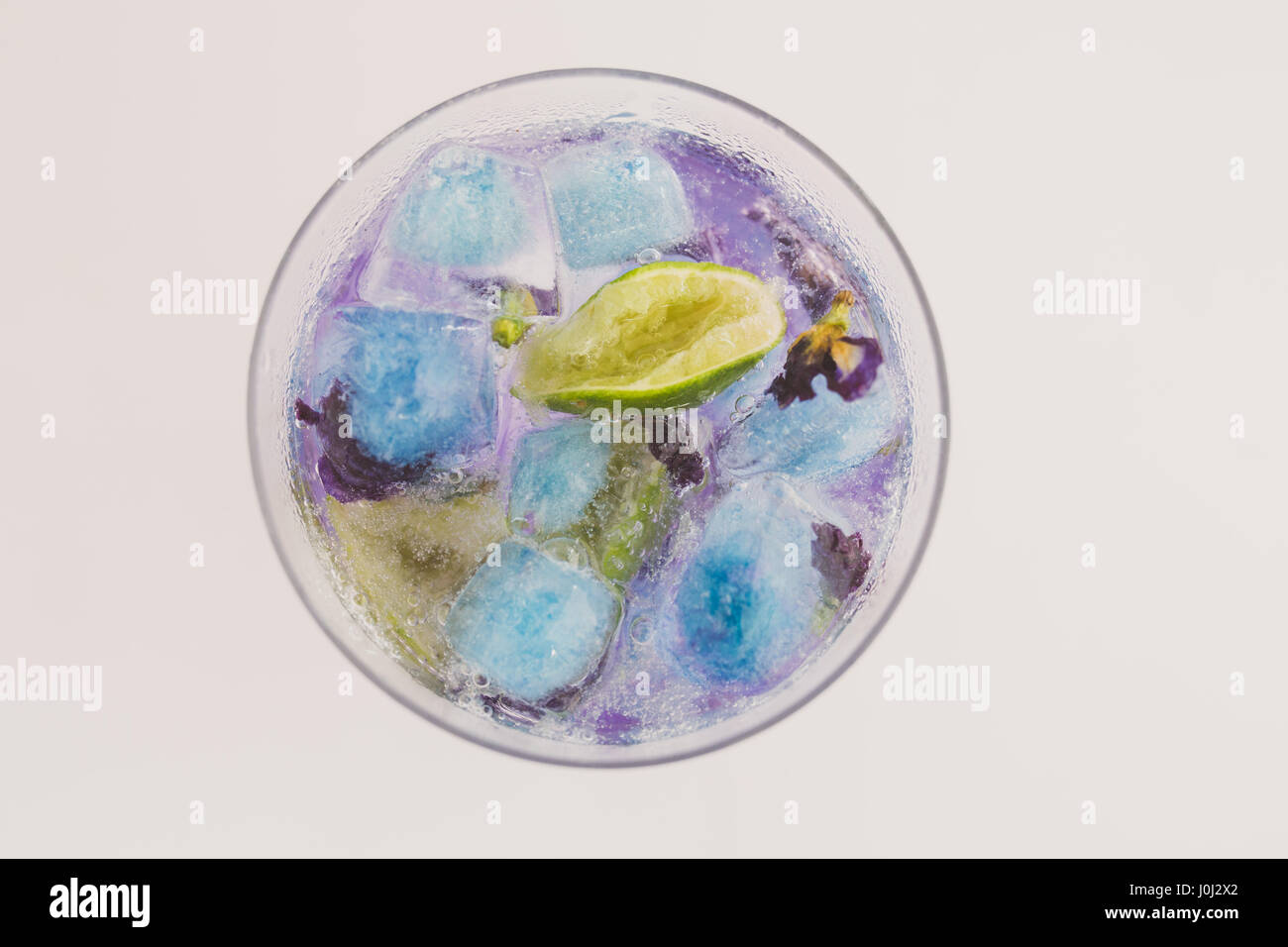 Butterfly Blu fiore di pisello e calce vista dello scambiatore di calore dal lato superiore Foto Stock