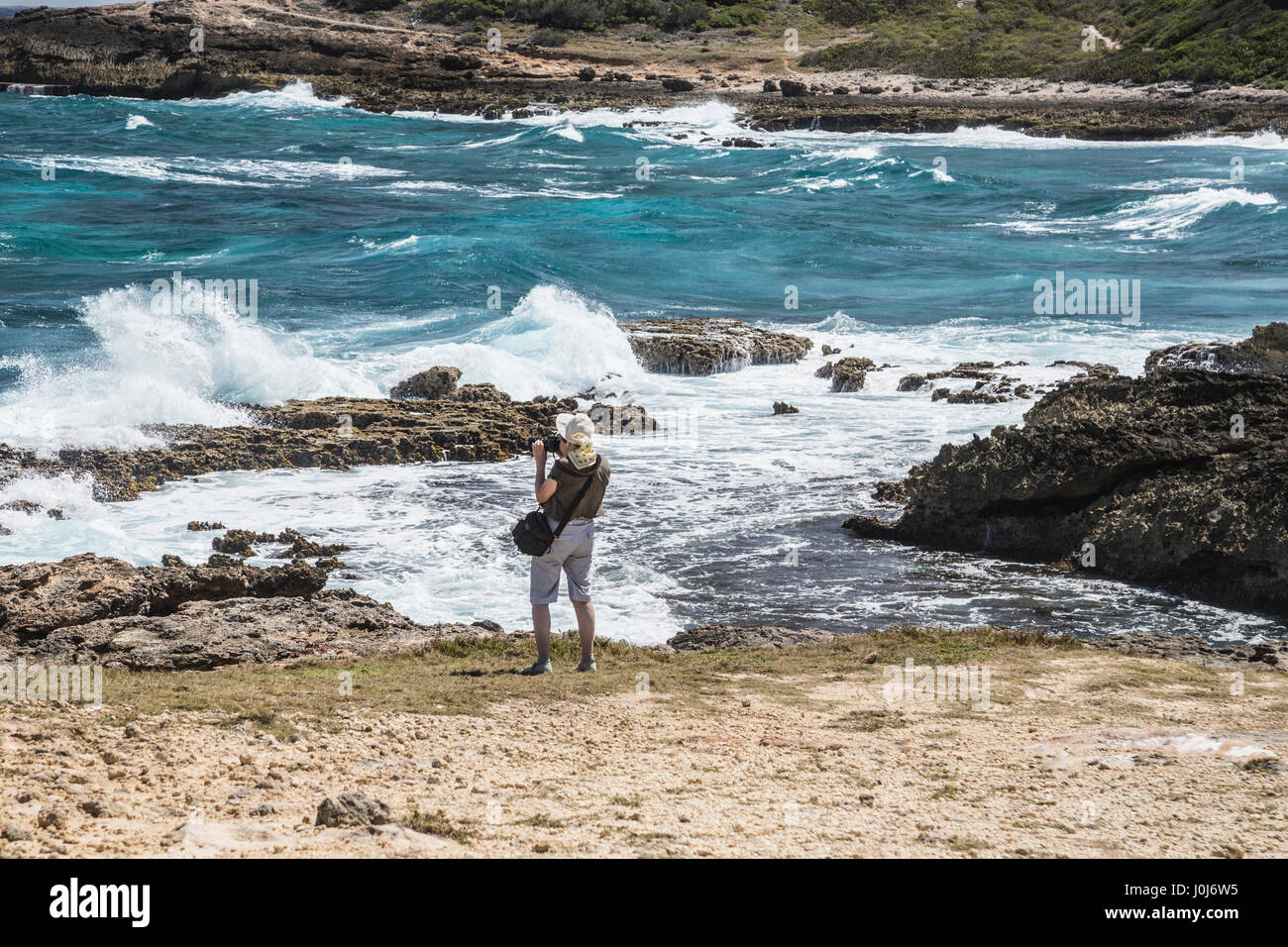 Grandes Salines Guadeloupe Antille Francesi Foto Stock