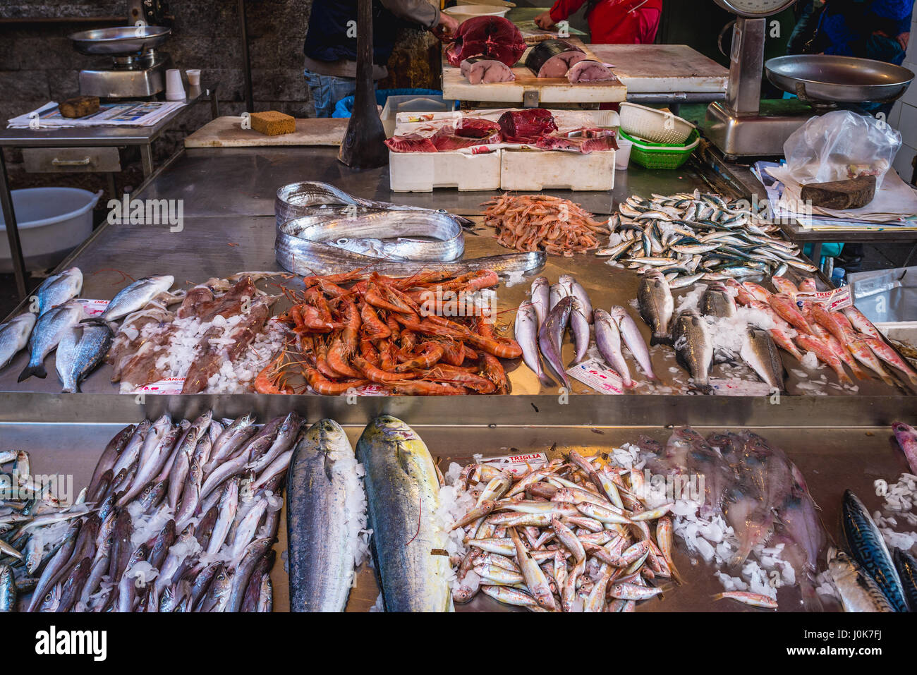 Pesci e gamberetti per la vendita sul quotidiano mercato all'aperto nella città di Siracusa, angolo sud-est dell'isola di Sicilia, Italia Foto Stock