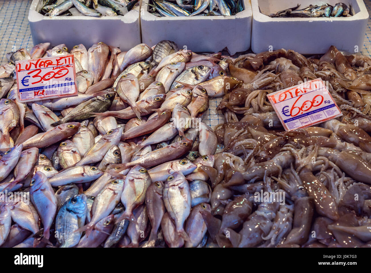 Pesci e calamari in vendita sul quotidiano mercato all'aperto nella città di Siracusa, angolo sud-est dell'isola di Sicilia, Italia Foto Stock