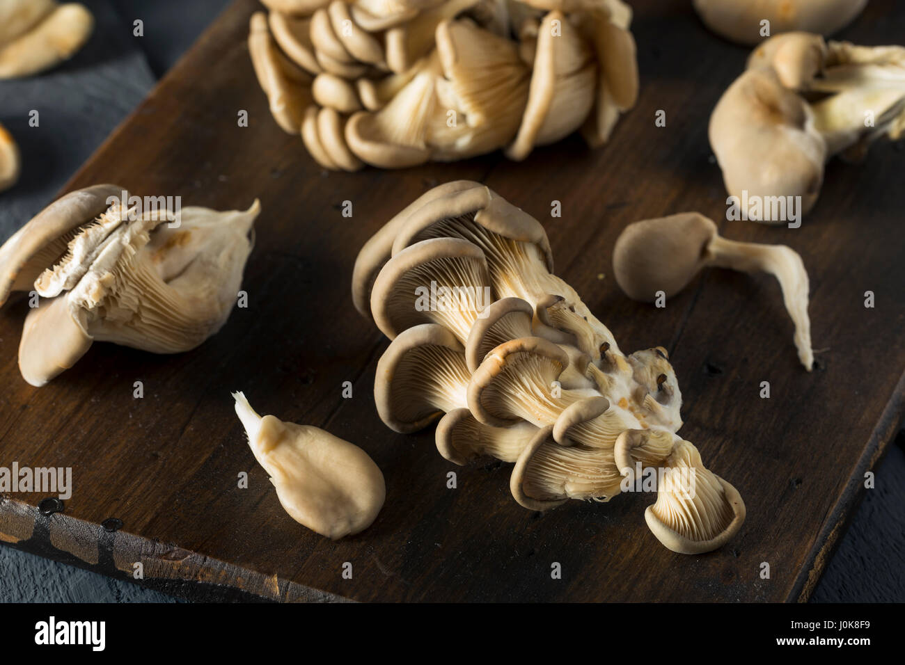 Materie organiche funghi Oyster in un grappolo Foto Stock