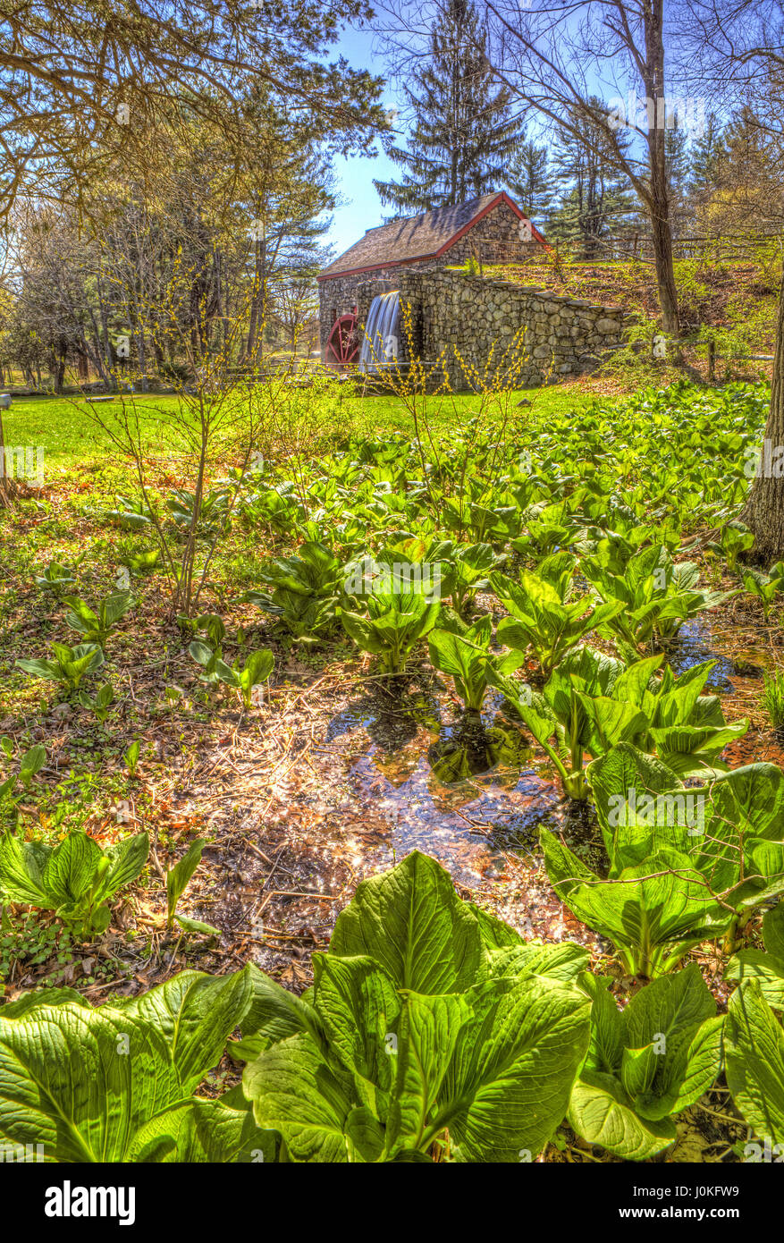 Vista inusuale del vecchio Grist Mill, una proprietà di Longfellow's Edicola Inn si trova a Sudbury, Massachusetts. Foto Stock