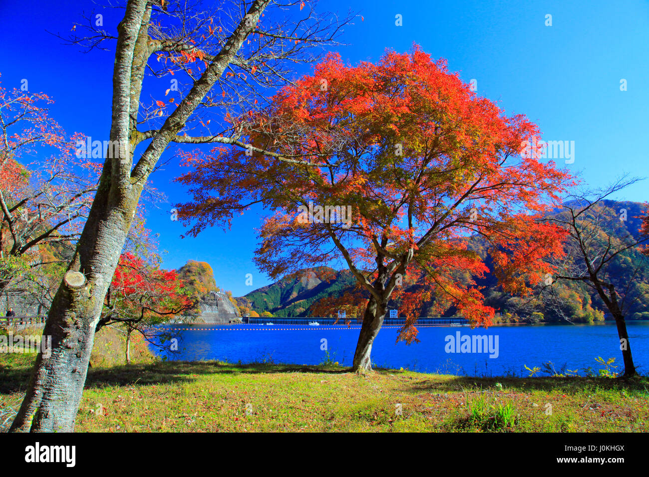 Il lago di Okutama fogliame di autunno Tokyo Giappone Foto Stock