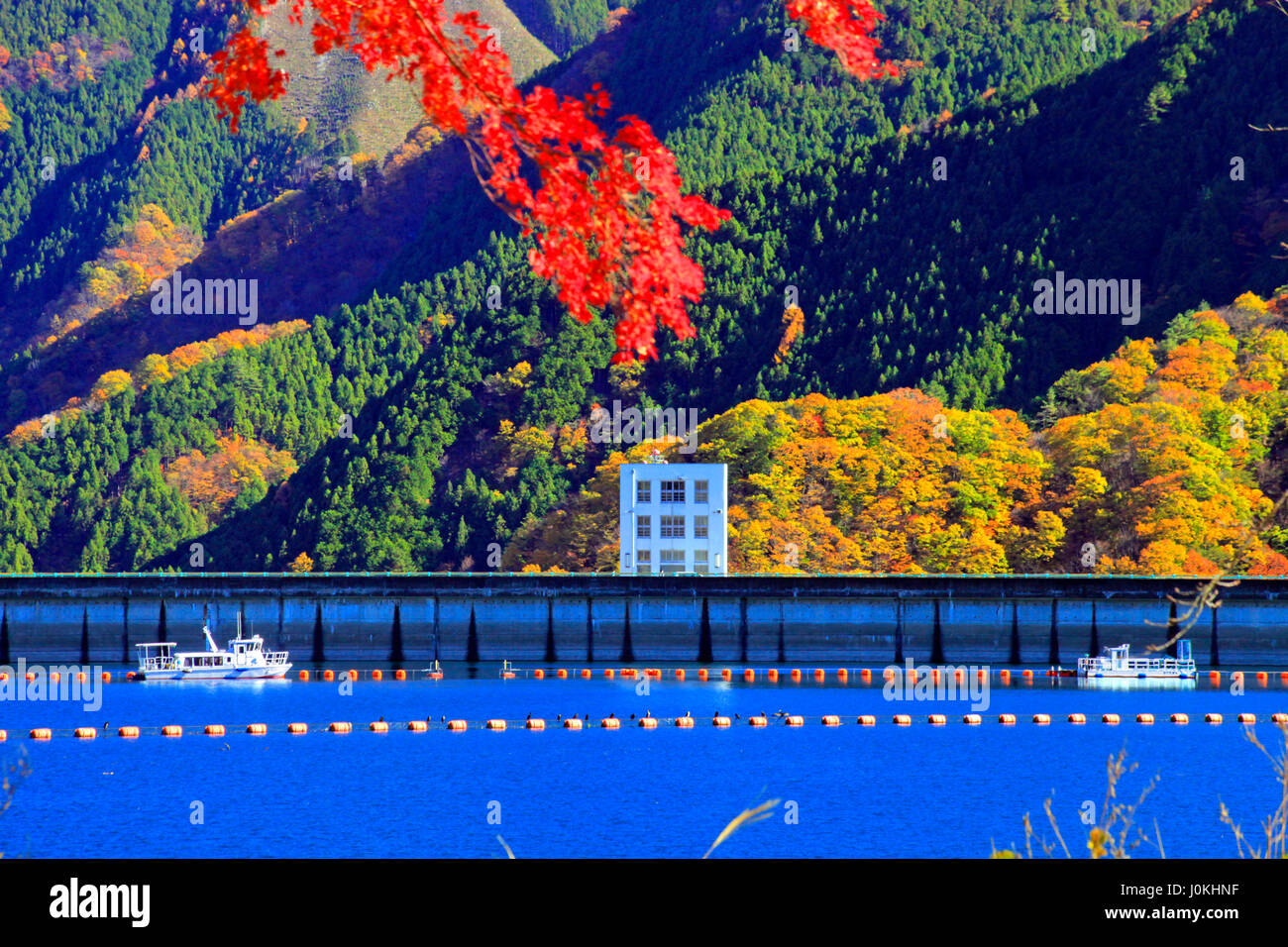 Il lago di Okutama fogliame di autunno Tokyo Giappone Foto Stock