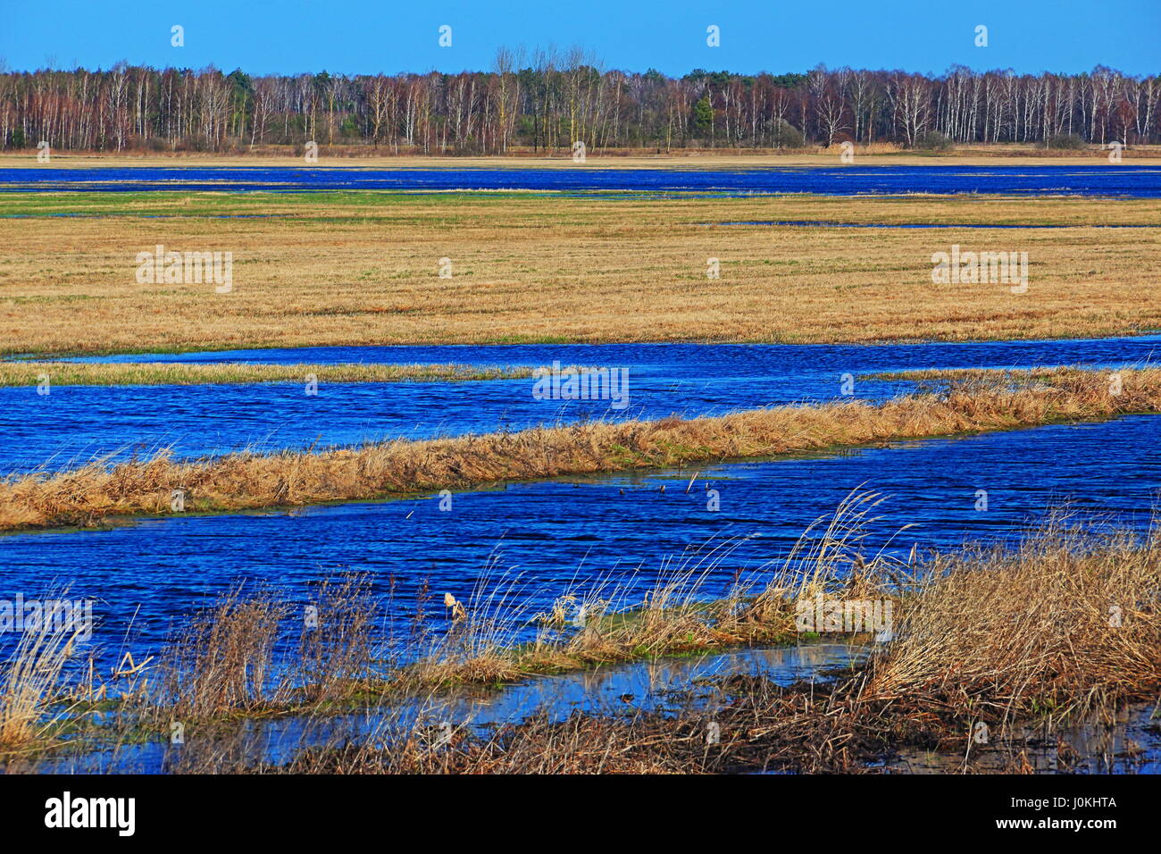 Vista sul canale meliorative e un prato di acqua in primavera Foto Stock