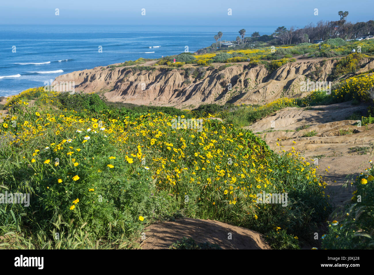 Guardando verso il basso sull'Oceano Pacifico e di fiori di campo e al tramonto le scogliere del Parco Naturale di San Diego, California. Foto Stock