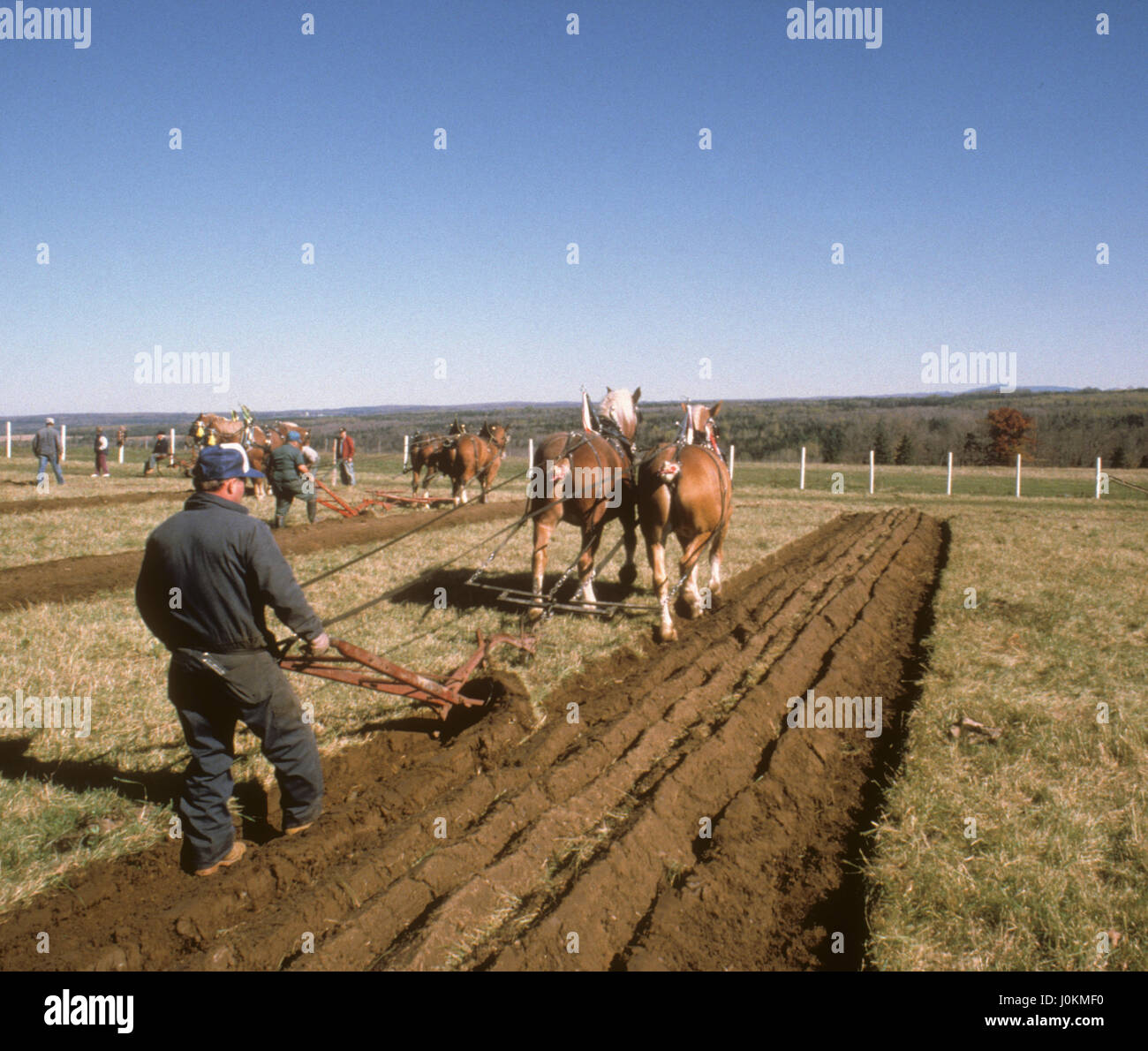 Agricoltore aratura con progetto di cavalli, Eaton, Québec Canada Foto Stock