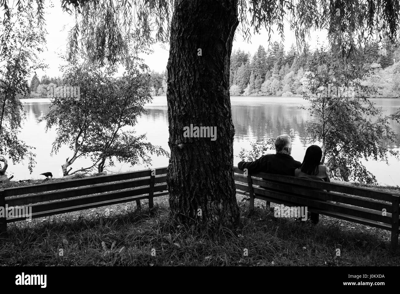 Un giovane seduto su una panchina nel parco con alberi e riflessioni in una laguna. Foto Stock