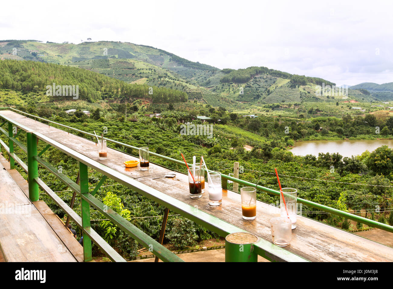 Caffè arabica "' plantation, vuota bicchieri per bevande, affacciato da Me Linh Coffee Garden. Foto Stock