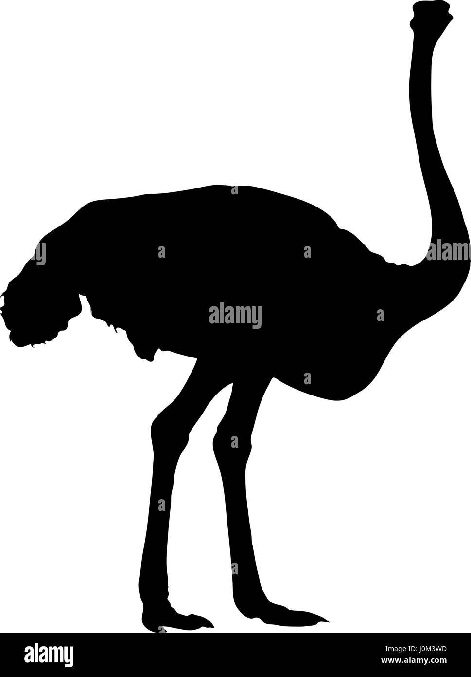 Silhouette di struzzo, un grande flightless bird Illustrazione Vettoriale