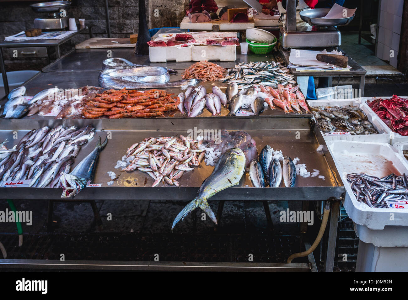 Pesci e gamberetti per la vendita sul quotidiano mercato all'aperto nella città di Siracusa, angolo sud-est dell'isola di Sicilia, Italia Foto Stock