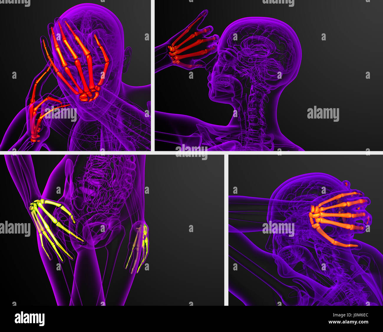 3D rendering illustrazione dello scheletro di mano Foto Stock