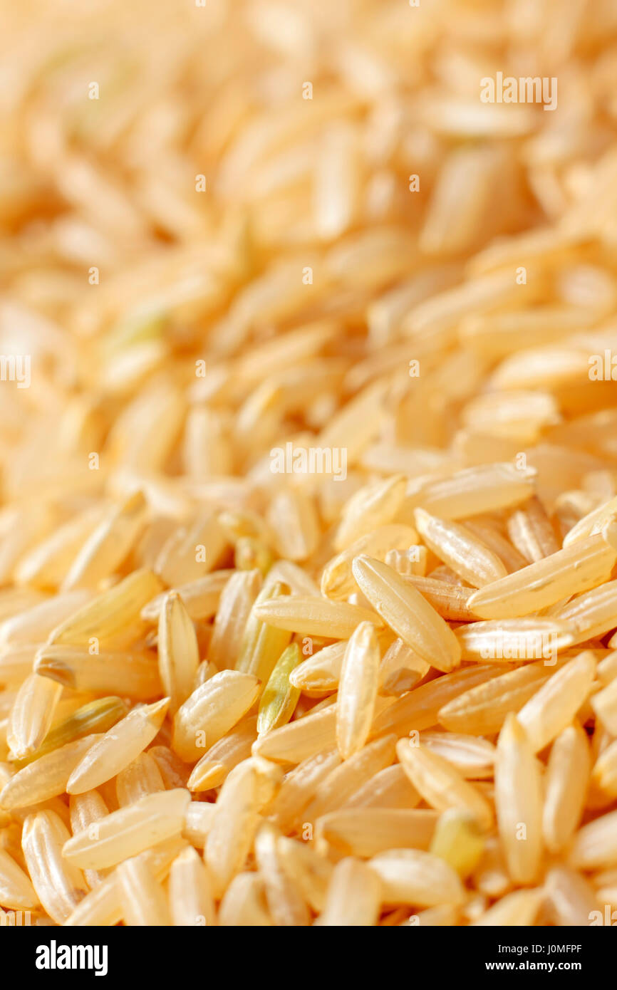 Brown del riso a grani lunghi close up. Profondità di campo. Foto Stock