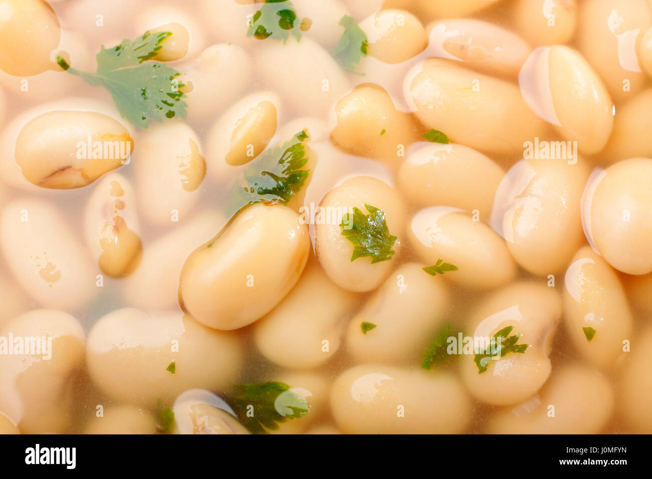 Close-up di bianco zuppa di fagioli con foglie di sedano rapa Foto Stock
