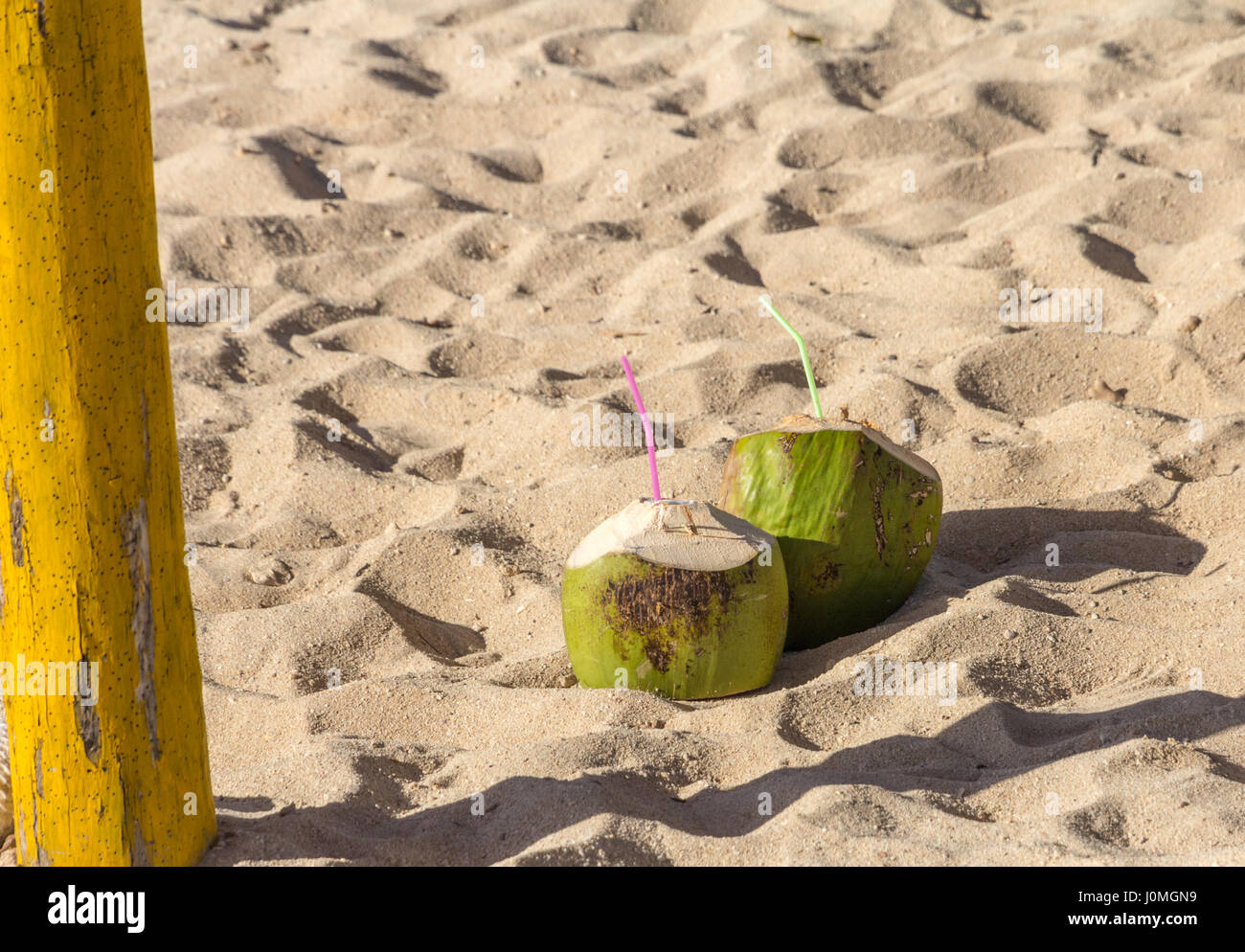 Due noci di cocco giallo sono tagliati e pronto per bere con una cannuccia su di una spiaggia di sabbia a Cuba in prossimità di un ombrellone pole Foto Stock