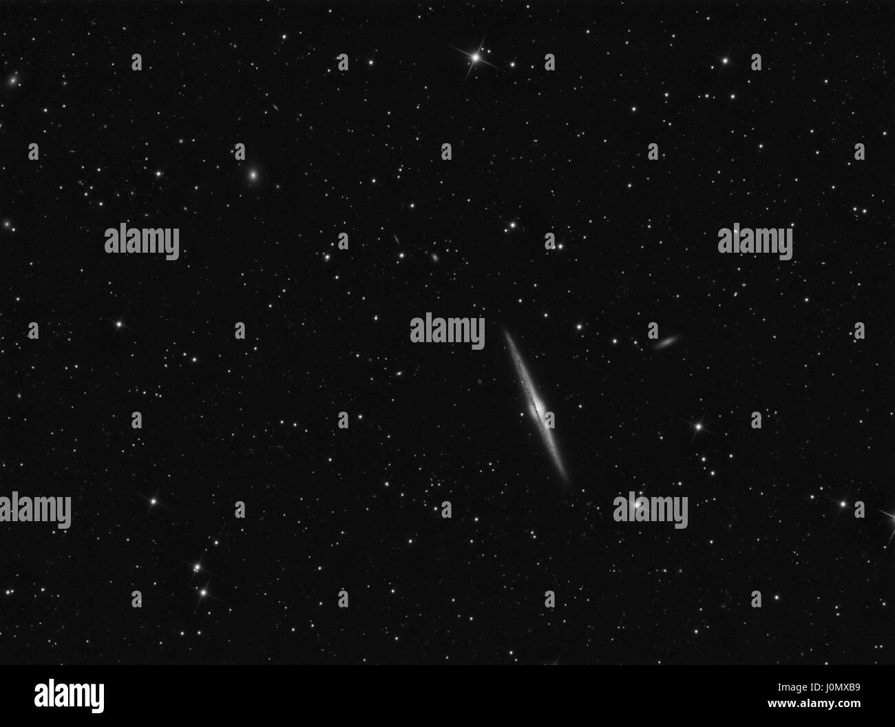 Ago Galaxy (NGC 4565) in La Chioma di Berenice Foto Stock