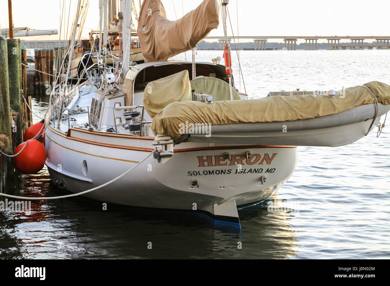 Schooner Heron delle Salomone Isola, MD Foto Stock