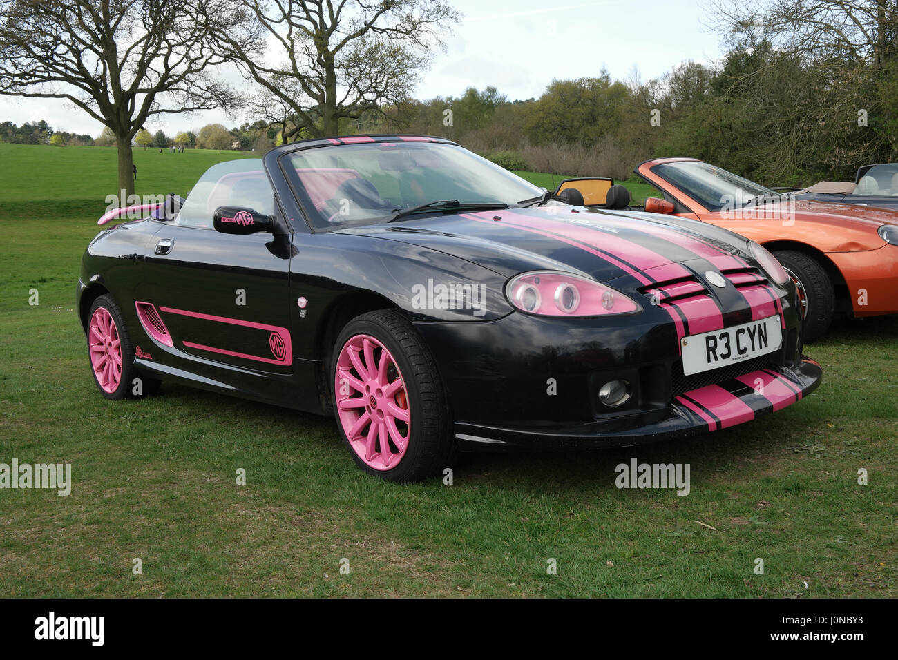 Longbridge, Birmingham, Regno Unito. Il 15 aprile 2017. Raduno annuale di MG amd Rover Automobili poiché la chiusura di Longbridge la produzione nel Regno Unito. © Terry Mason / Alamy Live News. Foto Stock