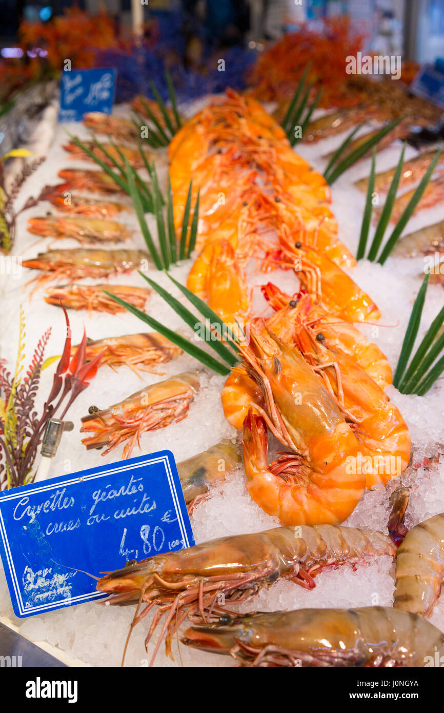 Frutti di mare crevettes gents - scampi giganti - sul display per la vendita nel mercato alimentare a st martin de re, Ile de Re, Francia Foto Stock