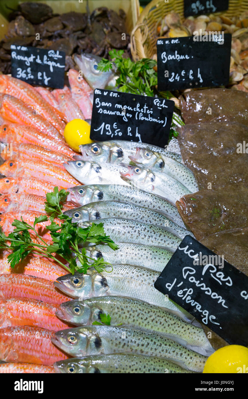 Pesce crudo spigola e rouget de ligne mullett () - sul display per la vendita nel mercato alimentare a st martin de re, Ile de Re, Francia Foto Stock