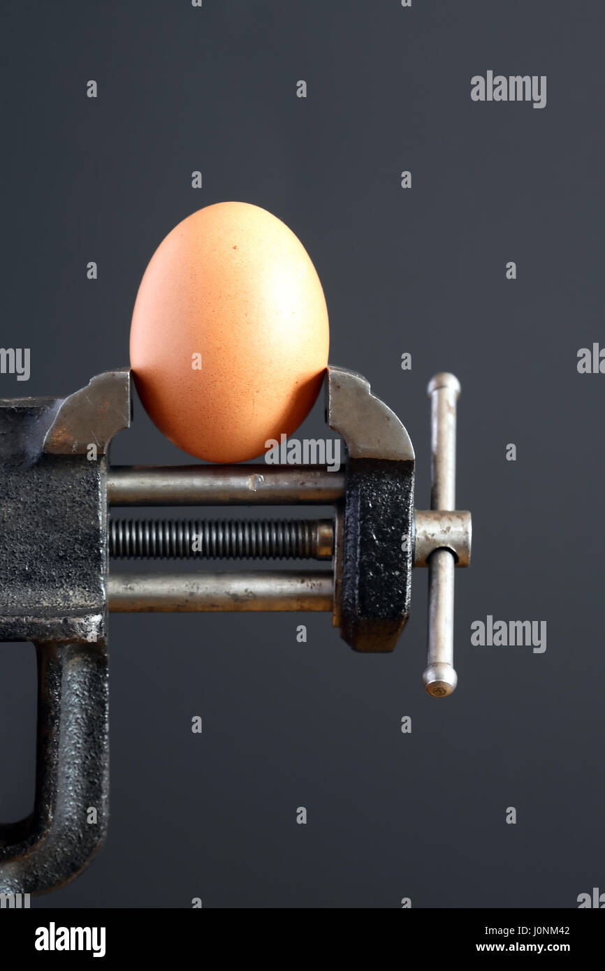 Concetto di pressione. Un uovo di gallina spinti in una morsa da banco su sfondo scuro Foto Stock
