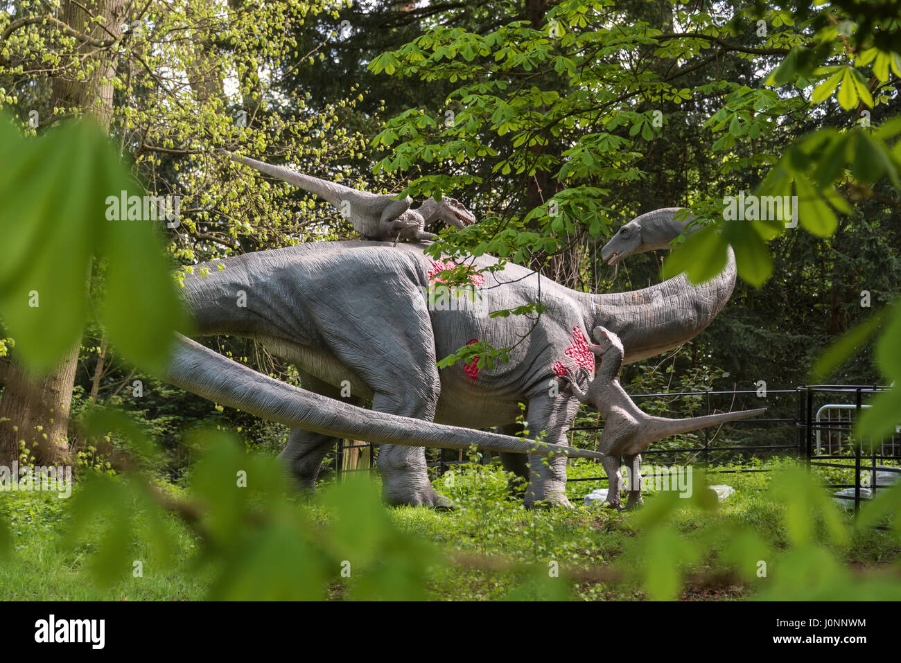 Apatosaurus & Deinonychus rapaci, Jurassic unito, Osterley Park, Londra Foto Stock