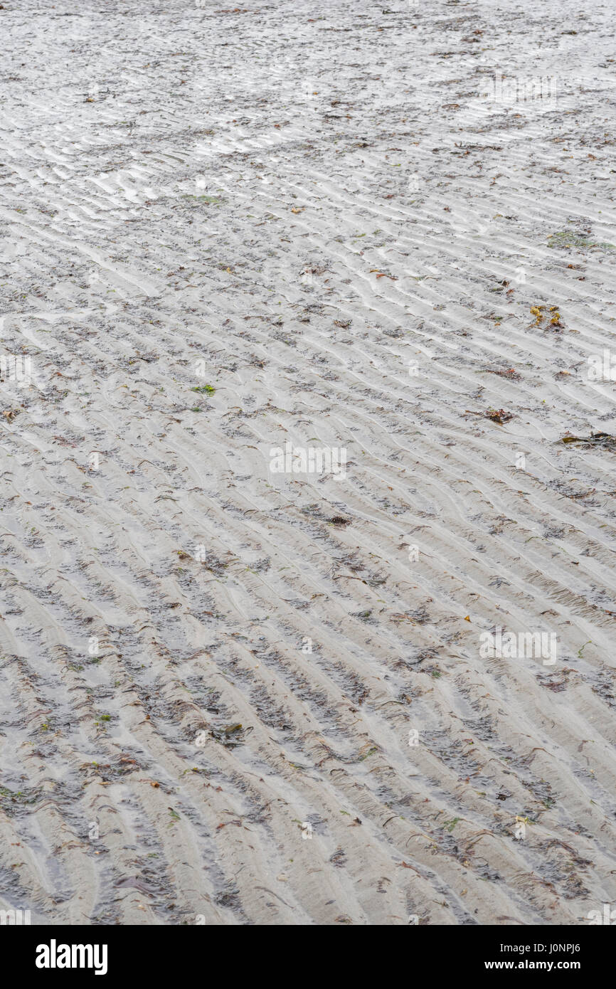 Acqua-increspata sabbie poco profonda su una spiaggia (a metà della Cornovaglia). Foto Stock