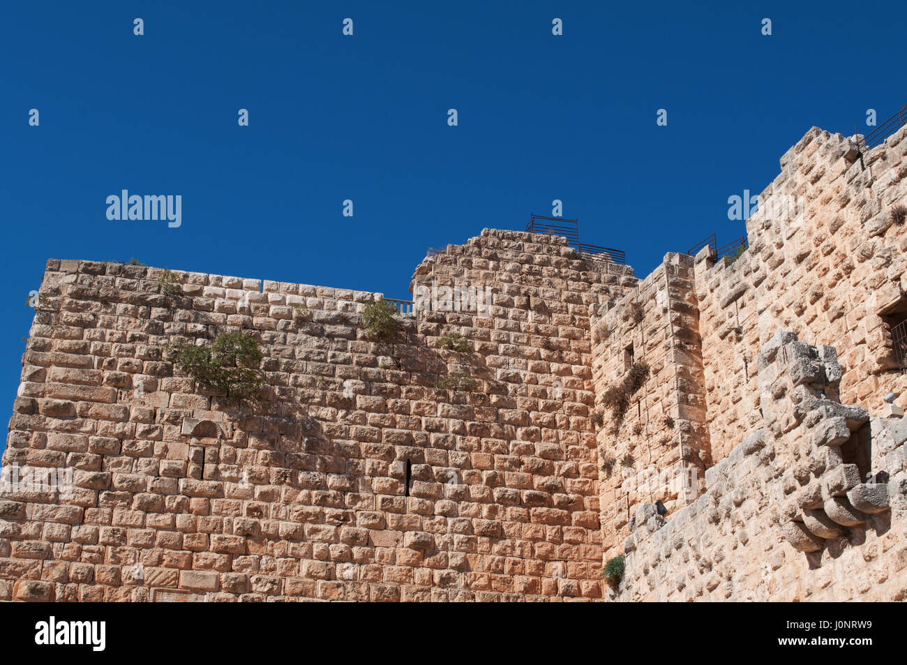 Giordania, Medio Oriente: vista del castello di Ajloun, Musulmana castello costruito sulla cima di una collina dal Ayyubids nel XII secolo e ampliata dal Mamluks Foto Stock