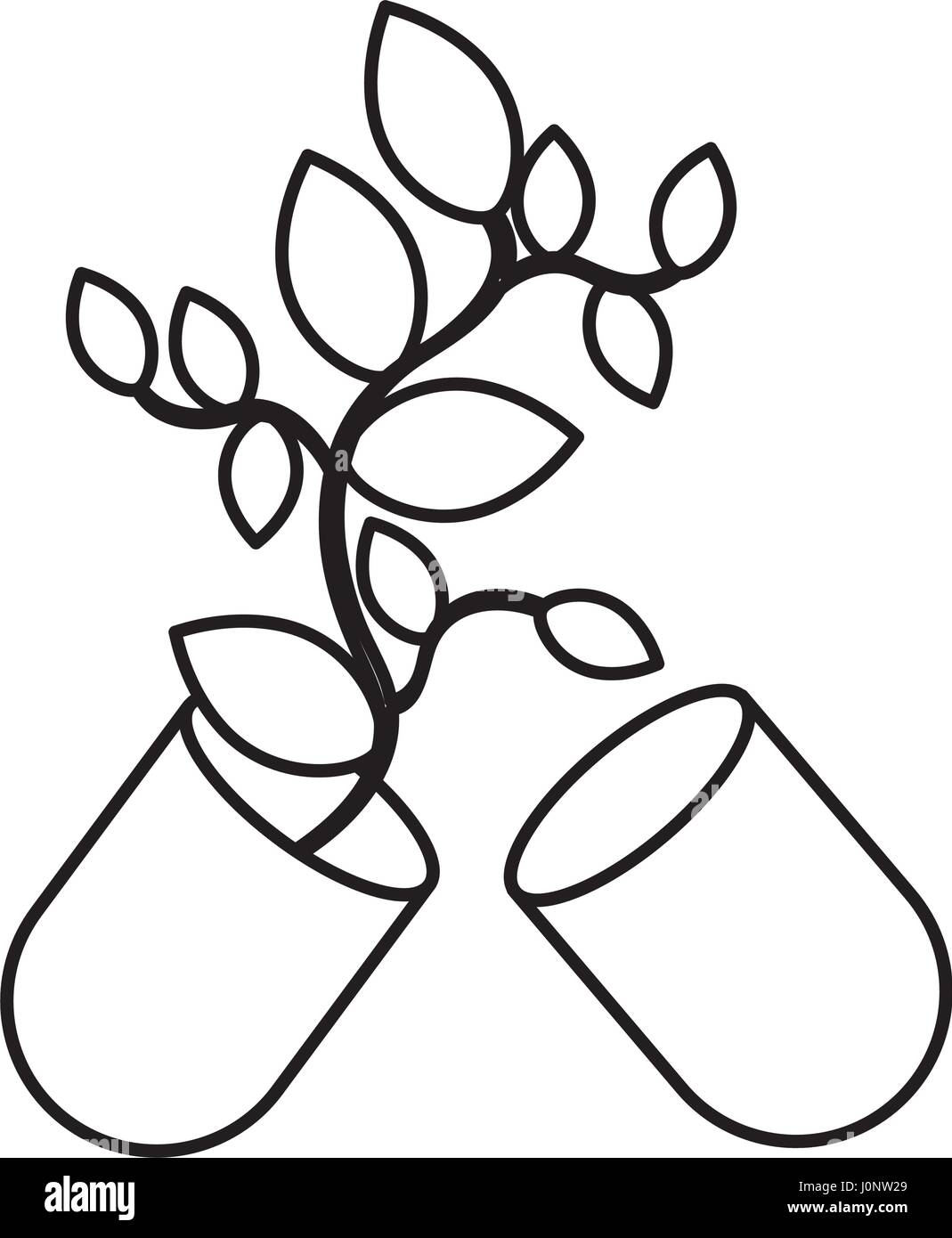 Capsula con foglie icona isolato Illustrazione Vettoriale