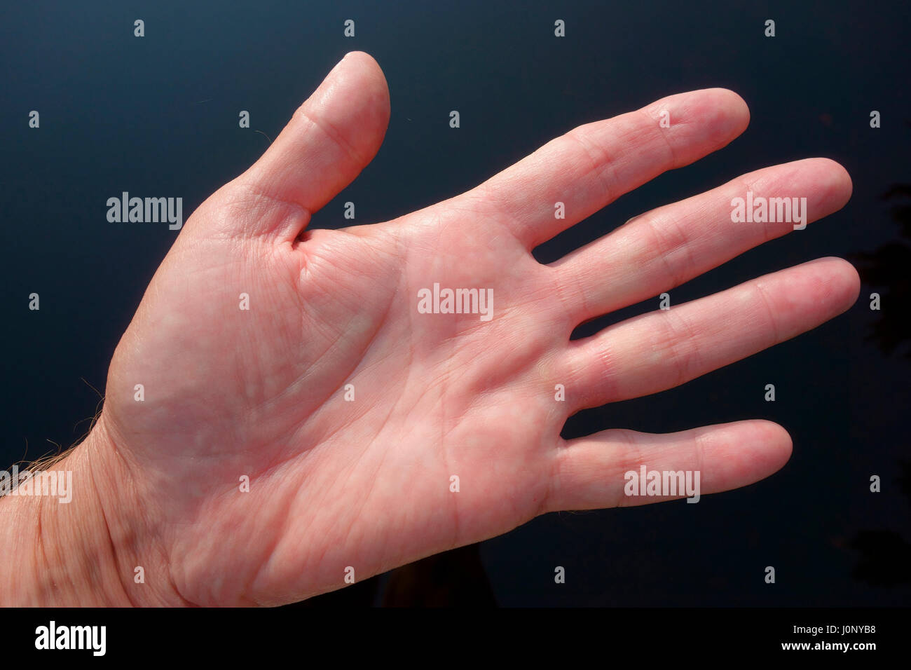 Il palmo della mano di un uomo che mostra le linee di vita per lettura di Palm Foto Stock