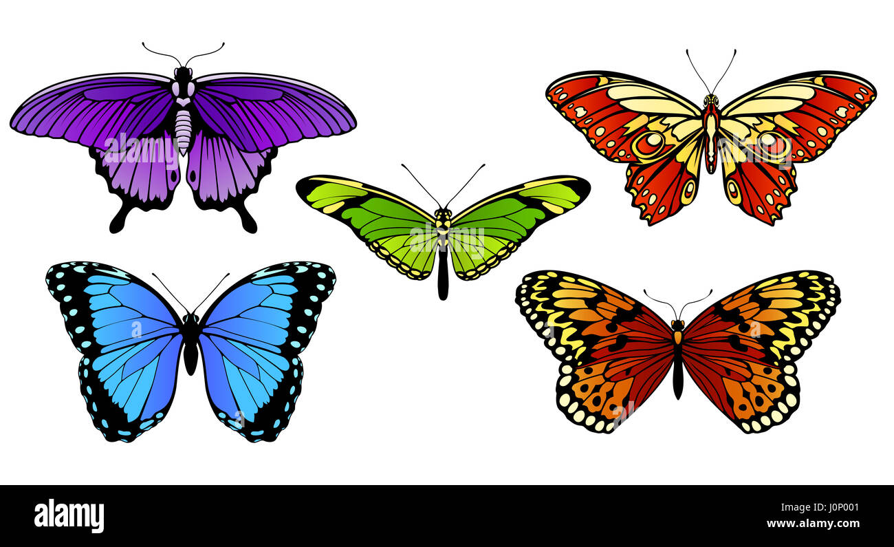 Una serie di coloratissime farfalle Foto Stock