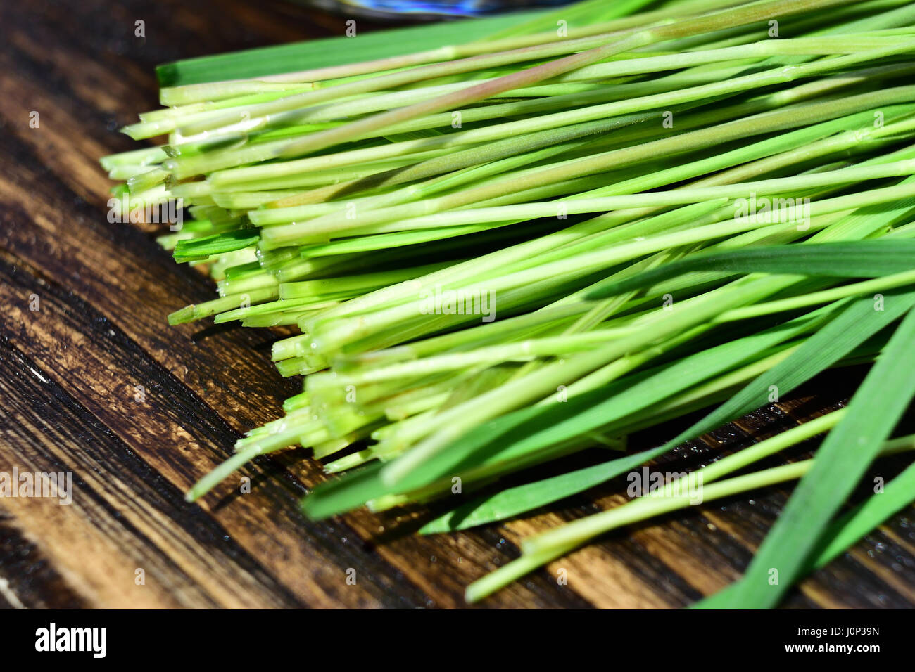 Taglio fresco erba di frumento sul tavolo di legno Foto Stock