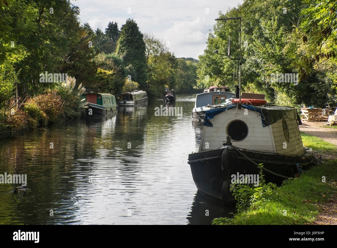 Canal chiatte sul Grand Union Canal a Rickmansworth in Colne Valley Regional Park. Foto Stock