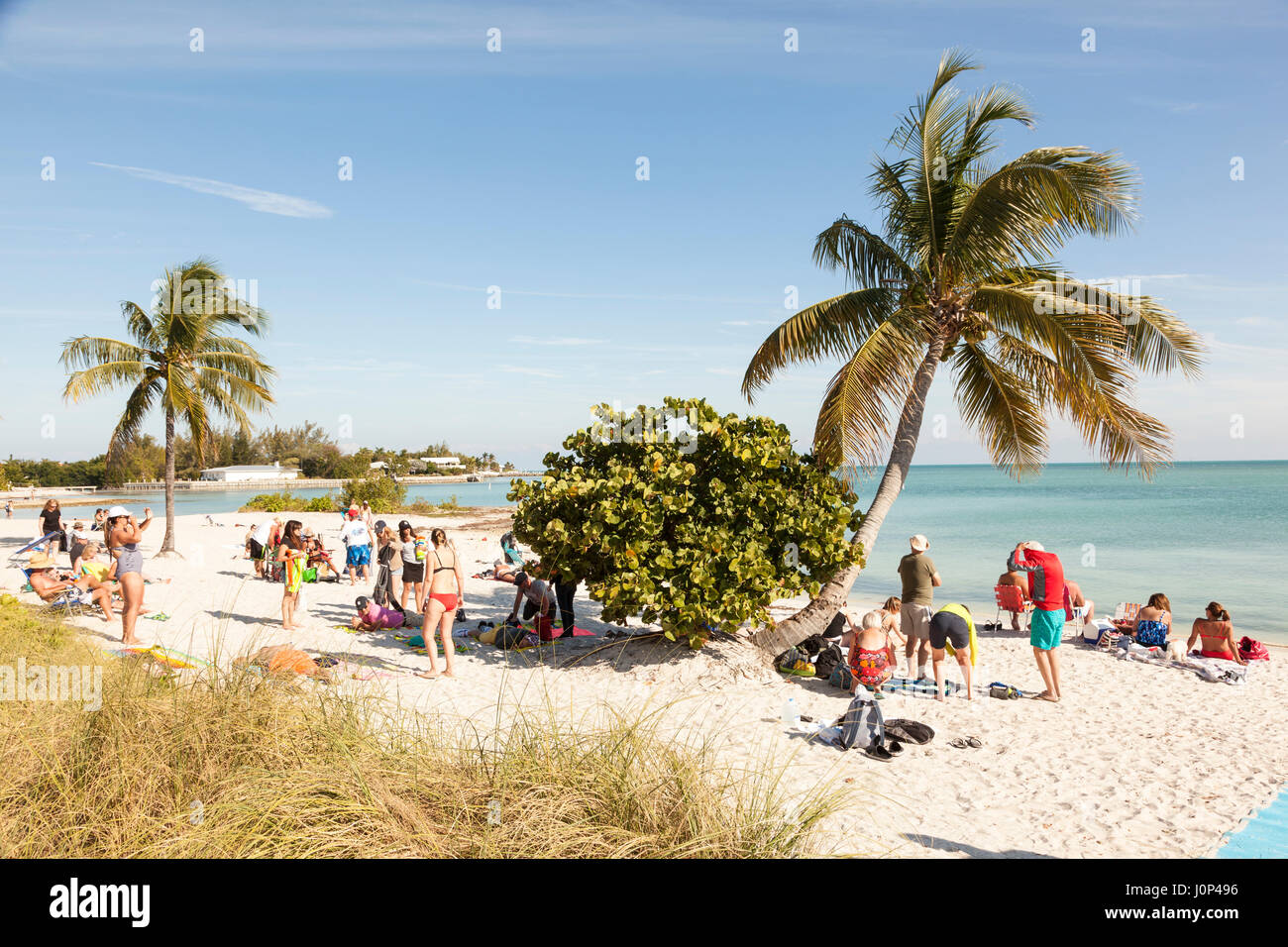 Chiave di maratona, Fl, Stati Uniti d'America - 16 Marzo 2017: bella sabbia bianca spiaggia Sombrero al tasto di maratona in Florida, Stati Uniti Foto Stock
