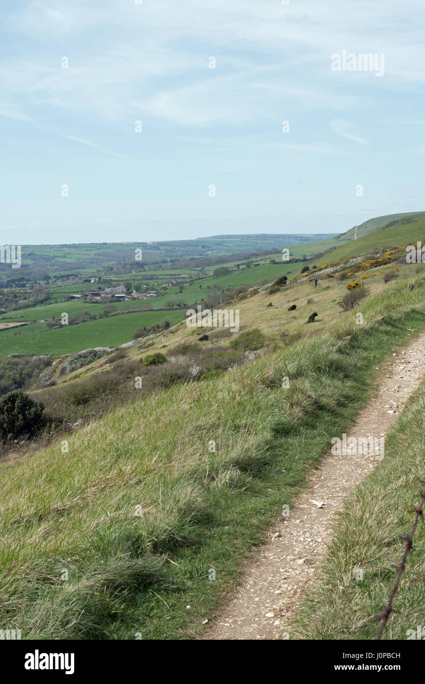 Ballard giù, Isle of Purbeck, Dorset. Foto Stock