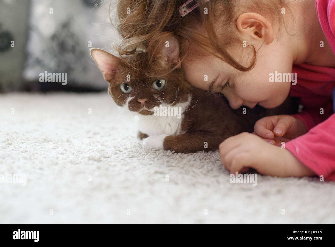 Solitaria bambina autistica cercando e il suo gatto Foto Stock