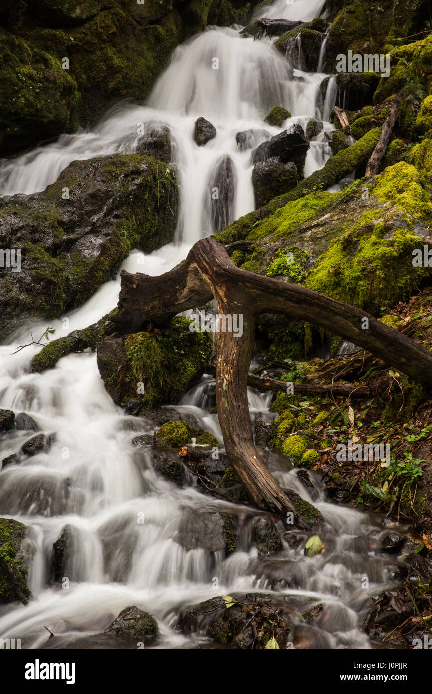 Una cascata a cascata verso il basso moss ricoperta di rocce. Foto Stock