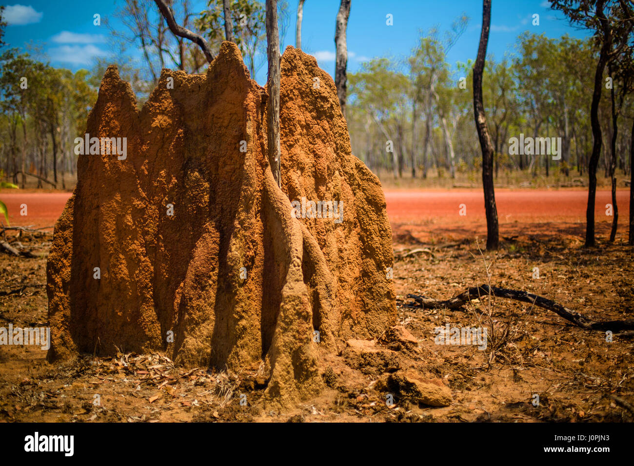 Un 2m di altezza termite mound da una strada sterrata, estremo Nord Queensland Foto Stock