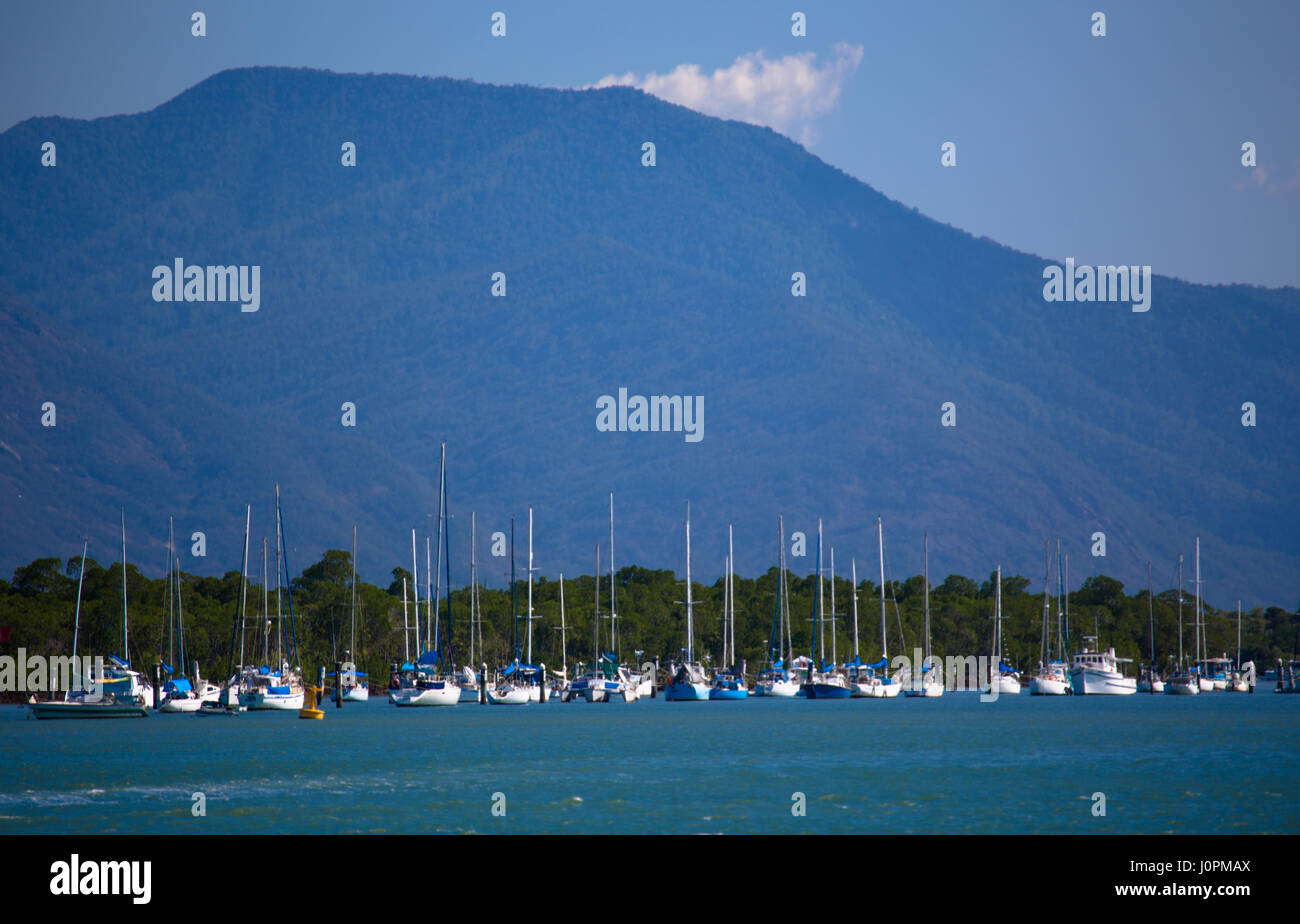 Una linea di yacht ormeggiati in Trinity Inlet, Cairns, Queensland, Australia Foto Stock