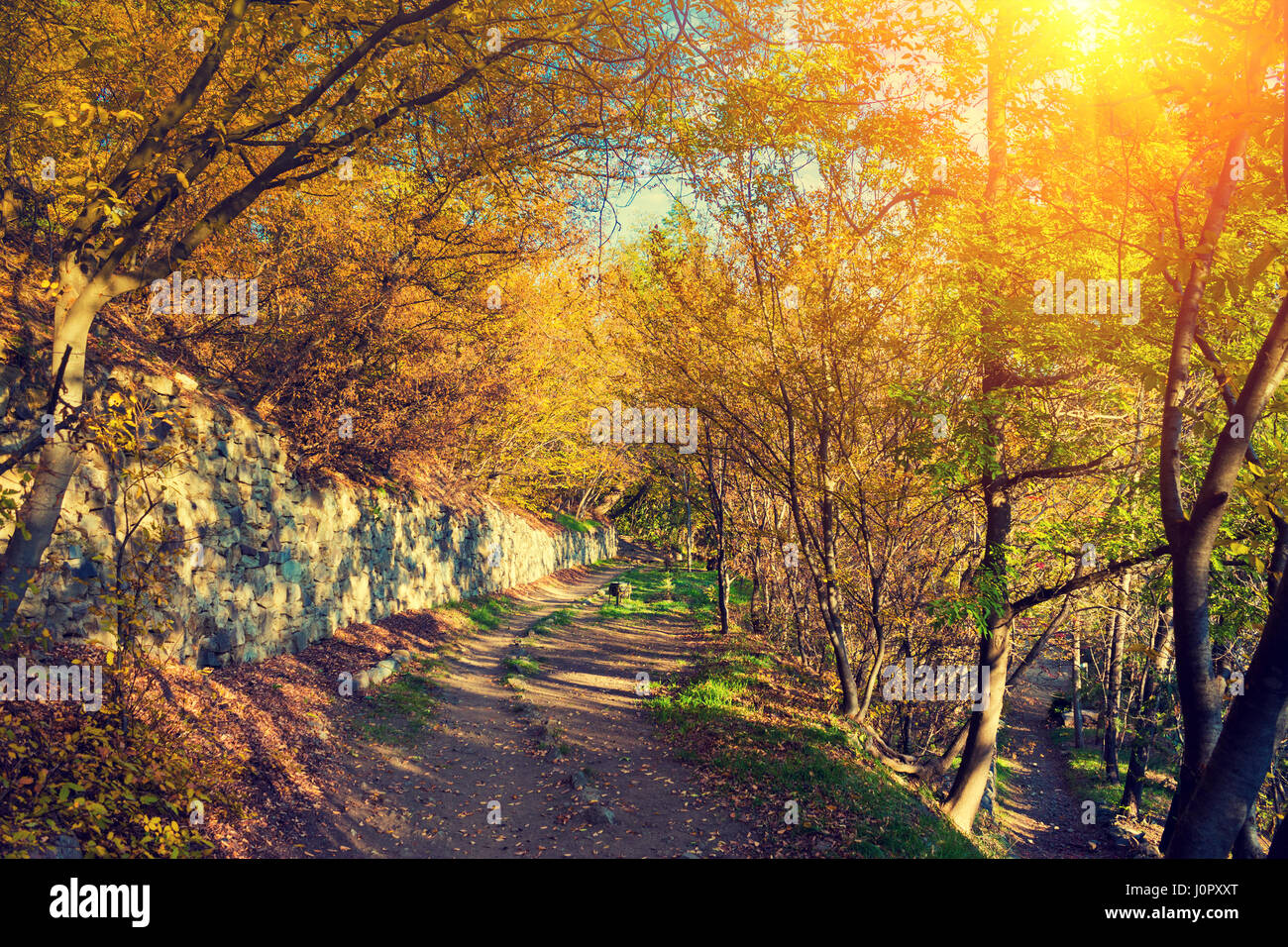Giardino botanico di Tbilisi city al tramonto, Georgia Foto Stock
