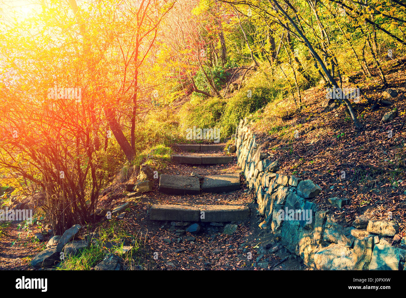 Giardino botanico di Tbilisi city al tramonto, Georgia Foto Stock