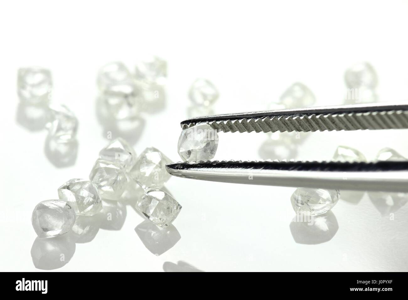 I diamanti grezzi detenute da pinzette su sfondo bianco Foto Stock