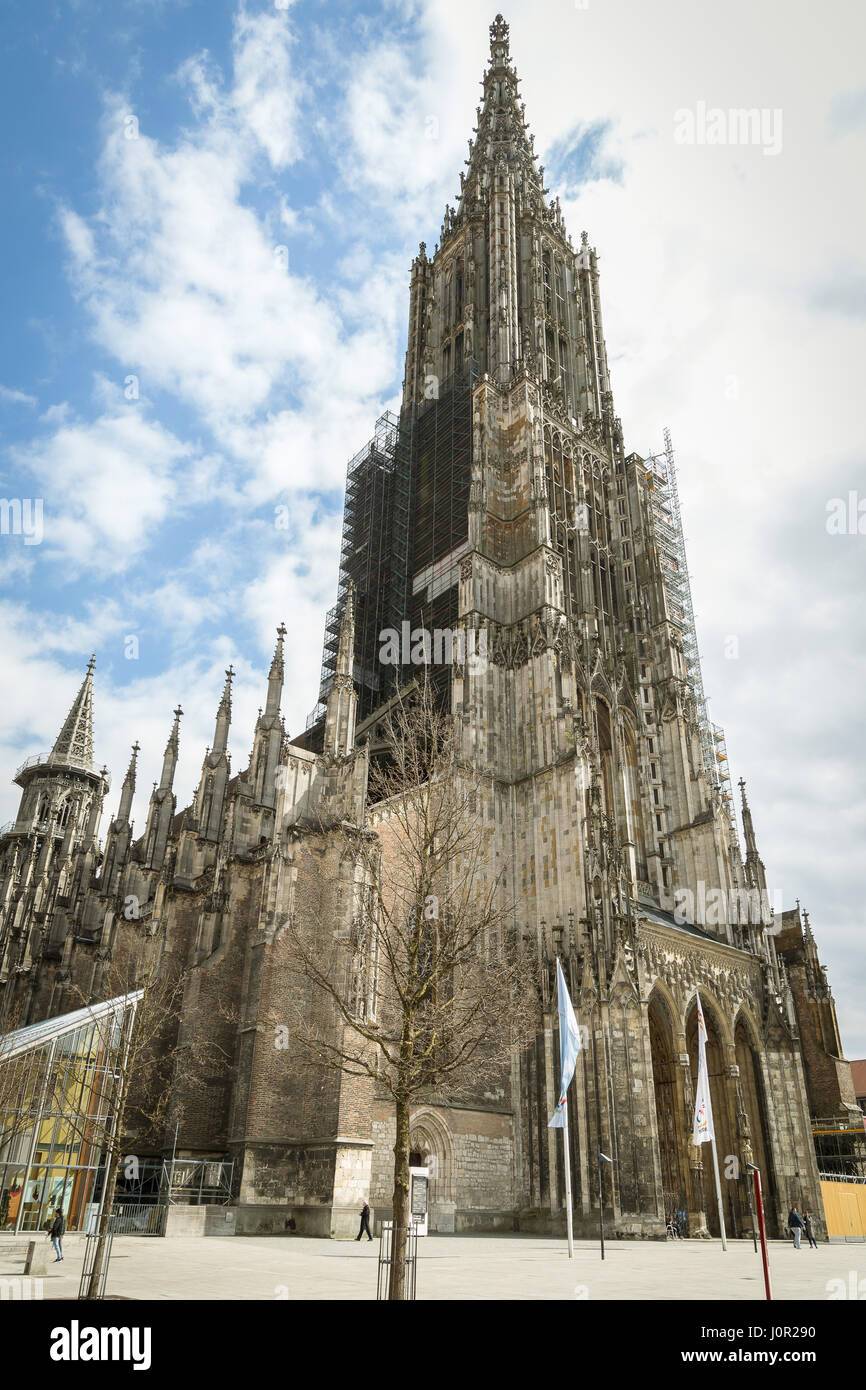Cattedrale di Ulm è il più alto chiesa nel mondo (161,5 metri), Germania. Foto Stock