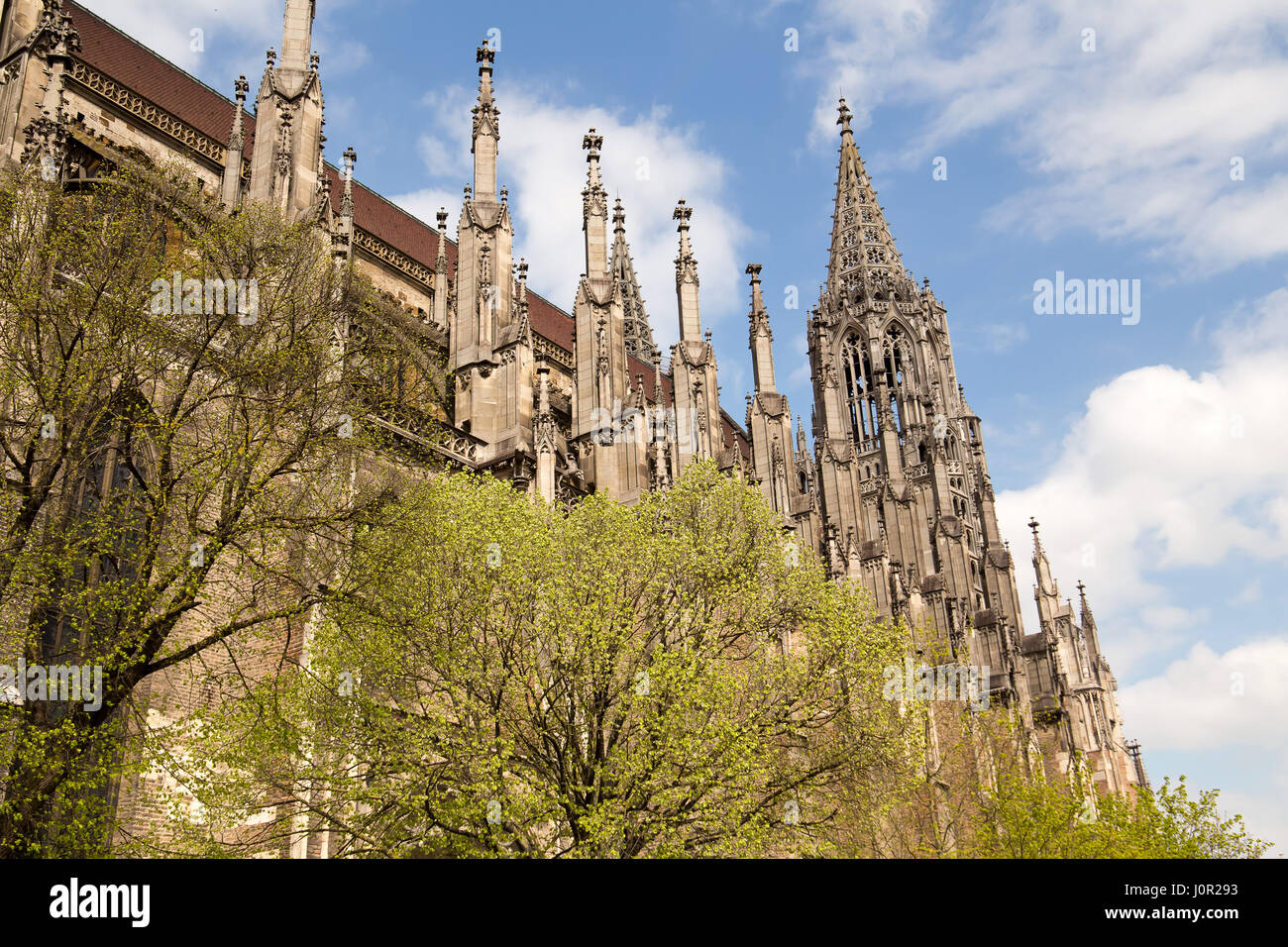 Cattedrale di Ulm. Germania. Foto Stock