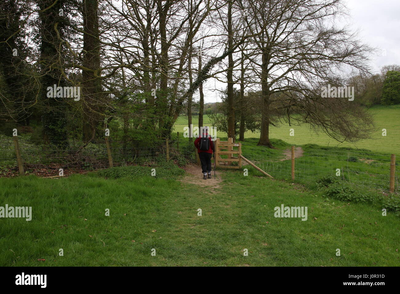 Un camminatore solitario si avvicina un cancello attraverso una pista lungo il South Downs modo nella campagna dell'Hampshire Foto Stock