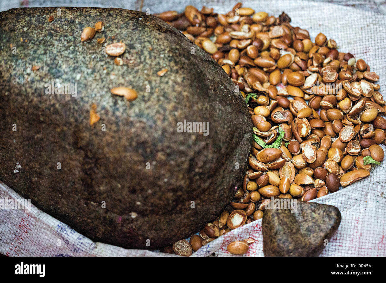 Rendendo marocchino tradizionale puro olio di argan. crash del kernel di argan su pietra. Foto Stock