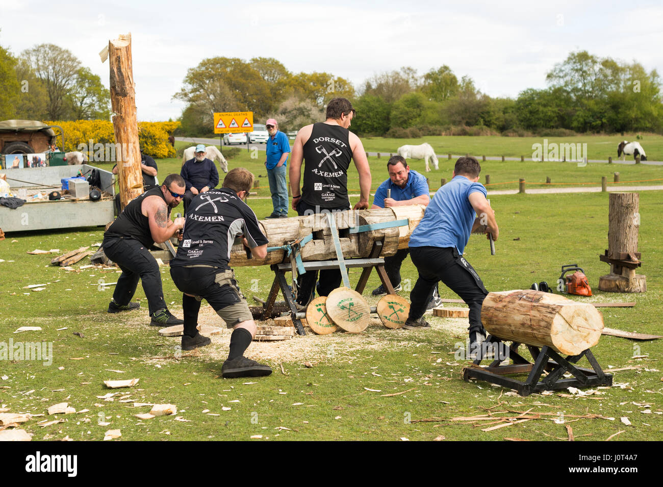 Godshill, New Forest, Hampshire, Regno Unito, 16th aprile 2017. Il team espositore Dorset Axmen ha messo in mostra una serie di abilità al lumberjack. Foto Stock