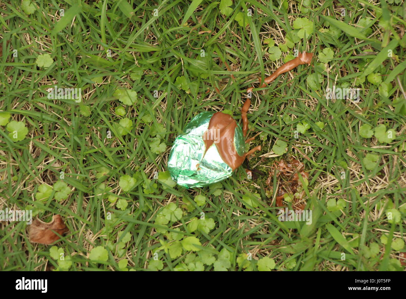 Durante un uovo di Pasqua Caccia in Hong Kong un uovo di cioccolato in incarto verde si fonde e cioccolato liquido va sull'erba. Foto Stock