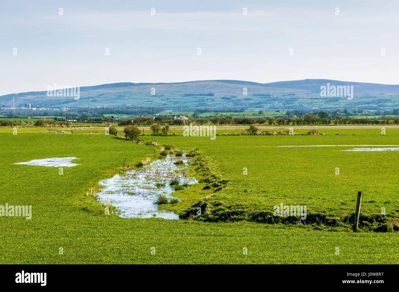 Un inglese Wetland scena con le colline della Foresta di Bowland in background. Foto Stock