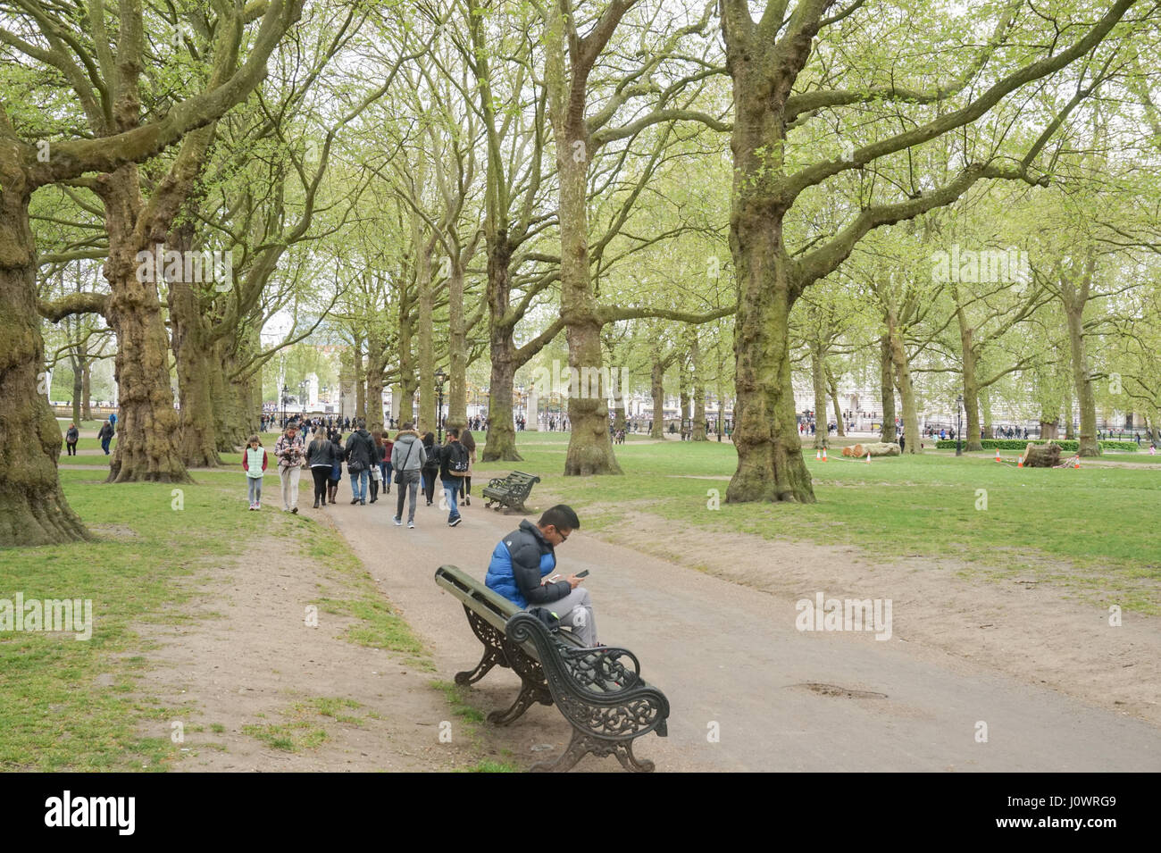 Parco verde in primavera, London, Regno Unito Foto Stock